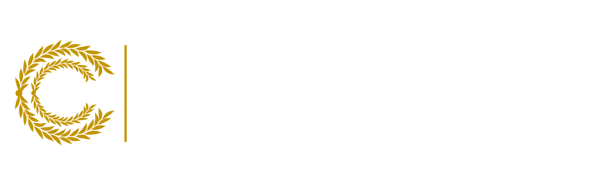 White Logo - cropped